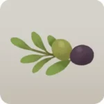 摘み取ったオリーブ