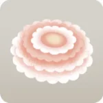 摘んできたポンポンデイジー