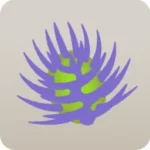 マンドレイクの花