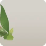 神殿に生い茂る植物