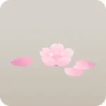 浮かぶ桜の花