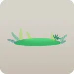 のびのび原生林の植物たち