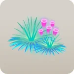 空気水草2