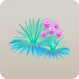 空気水草2