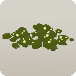 鉢植えに生えた苔