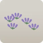小さな紫の花