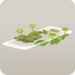 苔むしたスライドガラス