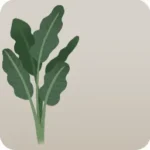 大きな植物