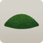湿った苔の丘