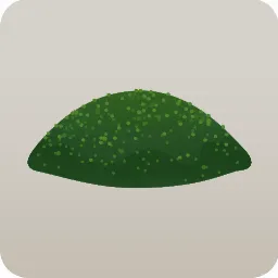 湿った苔の丘