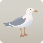 オオカモメの飾り