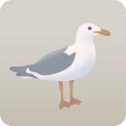 オオカモメの飾り