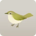 小さなウグイスのミニチュア