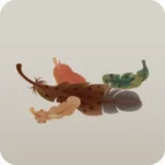 色とりどりのふわふわの羽根
