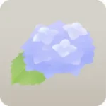 水色の紫陽花