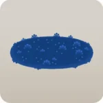 星降る地