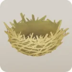 なにかの巣