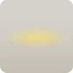 照らされた光