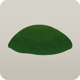 苔の丘の土台