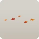 舞い落ちたもみじの葉