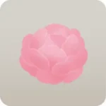 薔薇の花