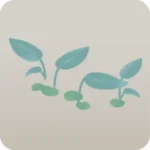 水を好む温室の植物・緑