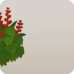 甘い蜜の赤い花