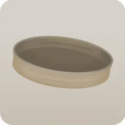 香りづけのドライオレンジ