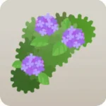 紫の紫陽花