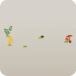 きのこの群生
