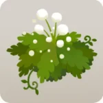 白玉の草