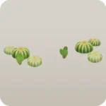 まばらに生えるサボテン