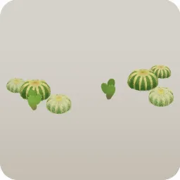 まばらに生えるサボテン