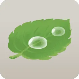 雨粒がたまった葉