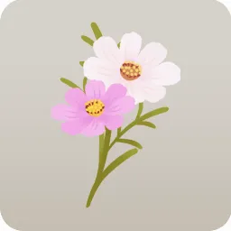 二輪のコスモス