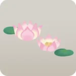 蓮の花