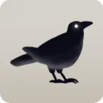 幽遠のカラス・黒