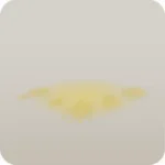 映し出された光の幻影