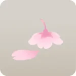 舞い落ちた桜の花