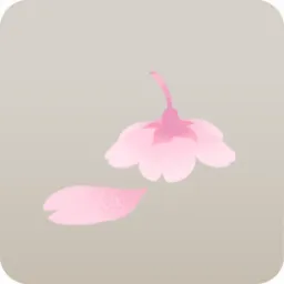 舞い落ちた桜の花
