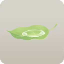 水が溜まった葉っぱ