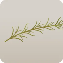 香りづけのドライアップル