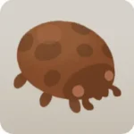 カップケーキとチョコプリン