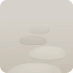 白い飛び石