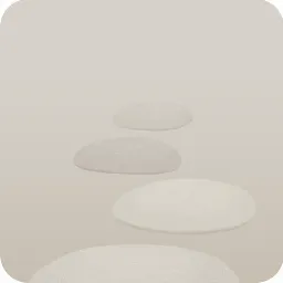 白い飛び石