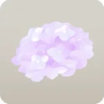 薄紫色の紫陽花