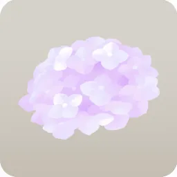 薄紫色の紫陽花