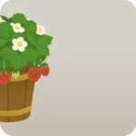 鉢植えイチゴ