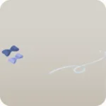 ラッピング用の素材