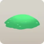 原生林の地面